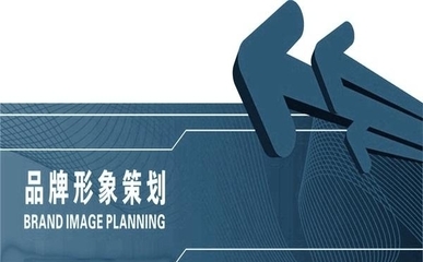 落地为王 互联网营销时代的企业形象策划之道