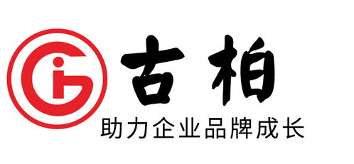 青岛市品牌VI设计 打造企业独特形象的专业指南